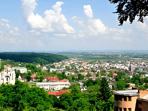квартира за адресою Винна Гора вул., 10а