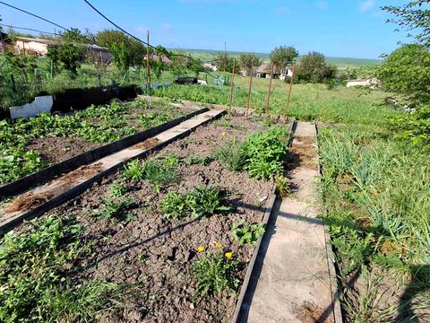 будинок за адресою Шкільна, 8