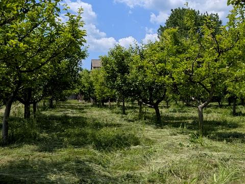 дом по адресу Подольская ул., 22