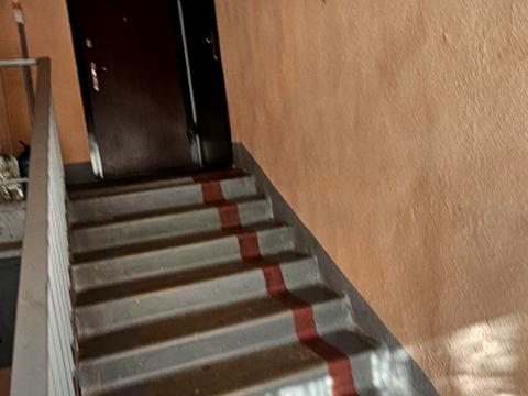 квартира по адресу Юбилейный просп. (50-летия ВЛКСМ), 75а