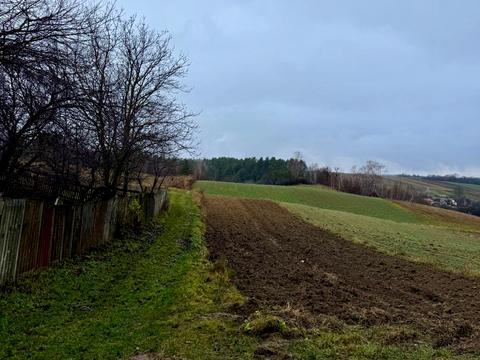 ділянка за адресою с. Бронники, Лесі Українки