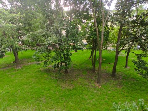 квартира за адресою Остафія Дашкевича вул. (Курнатовського), 11-А
