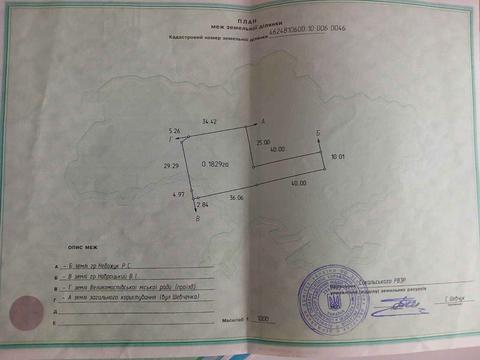 1867798141583808.jpg