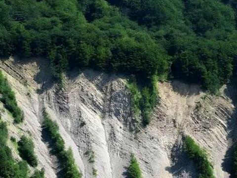 квартира за адресою Свободи вул., 251а