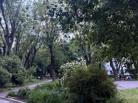 квартира по адресу Дмитра Дорошенка ул. (Чигоріна), 55