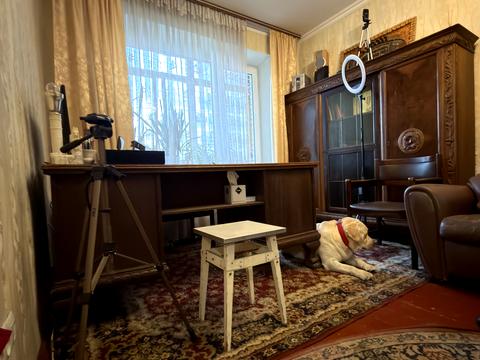 квартира за адресою Щусєва вул., 33