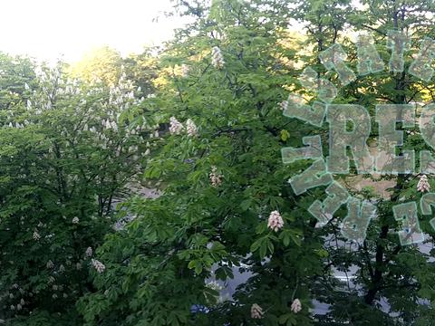 квартира за адресою Івана Мазепи вул. (Січневого Повстання), 8