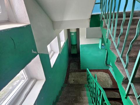 квартира по адресу Иорданская ул. (Лайоша Гавро), 9-В