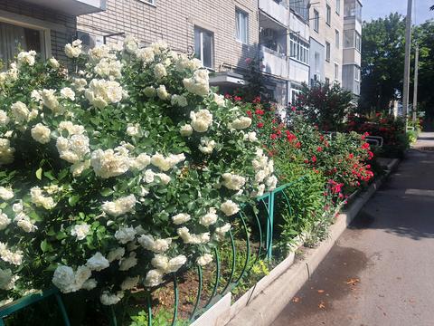 квартира за адресою Будівельників вул. (Фрунзе), 6