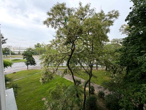 квартира по адресу Петра Курінного ул. (Комісара Рикова), 1
