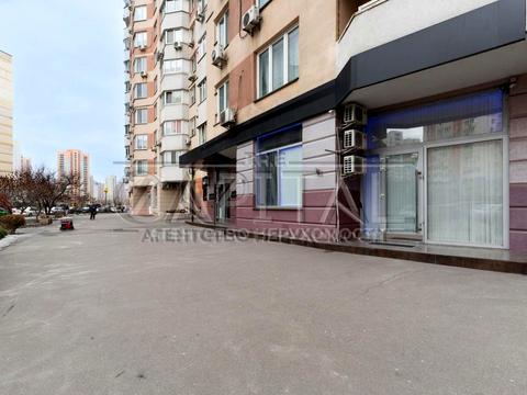 комерційна за адресою Київ, Олени Пчілки вул., 2