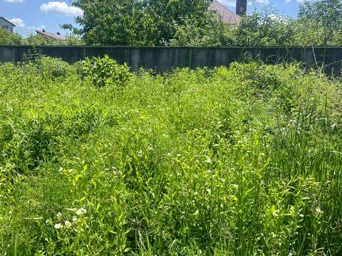ділянка за адресою с. Зарванці, Квіткова