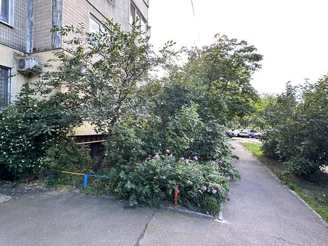 квартира по адресу Червоной Калины просп. (Владимира Маяковского), 21-Б