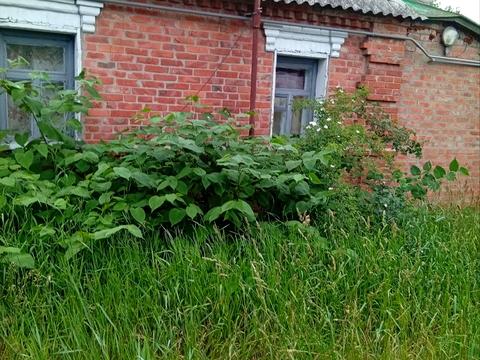 будинок за адресою Просвіти вул., 35