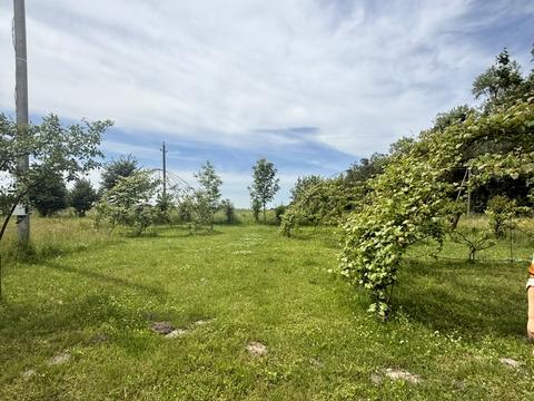комерційна за адресою с. Луб'яна, Нова, 5
