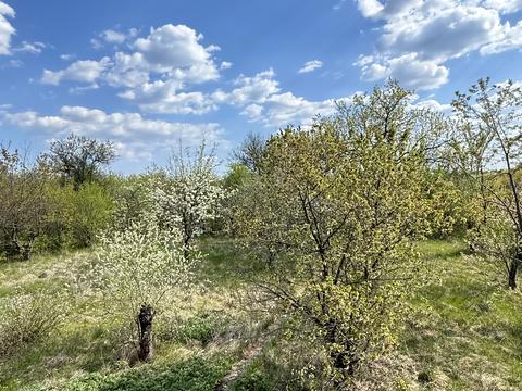 дом по адресу Нижняя Пятихатская ул., 20
