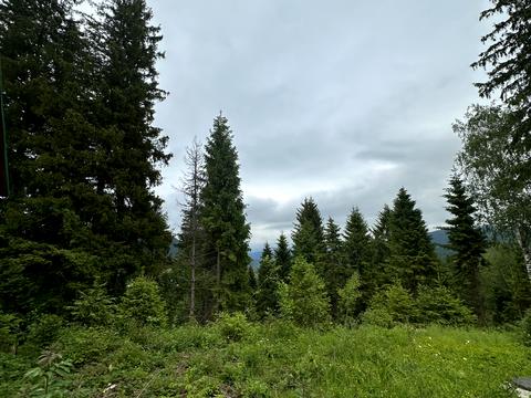 будинок за адресою смт. Славсько (Славське), Олекси Довбуша вул.