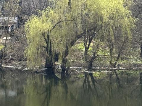 ділянка за адресою Маріупольська вул., 23