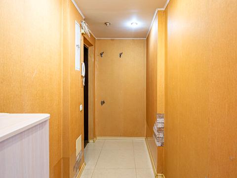 квартира по адресу Елены Телиги ул., 17-Б