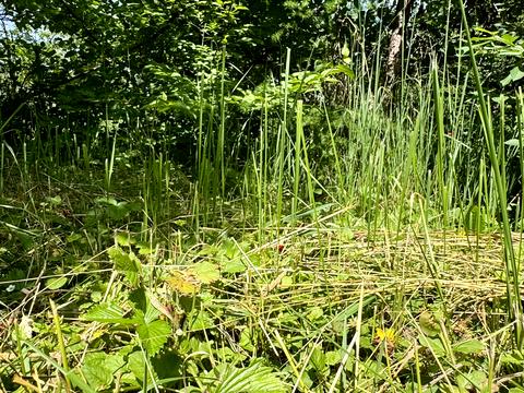 будинок за адресою Винники, Козацька вул.