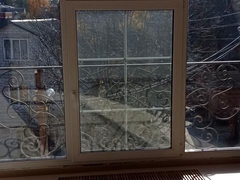 будинок за адресою смт. Козин, Медична, 26