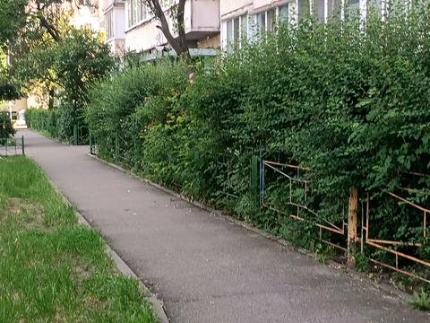 квартира за адресою Оболонський просп., 31