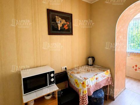 квартира по адресу Архитектора Алёшина просп. (Орджоникидзе), 20