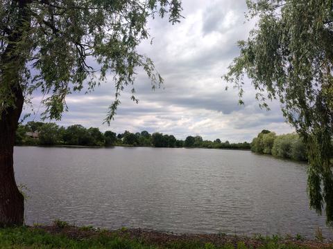квартира за адресою с. Завидовичі, Залужна, 55