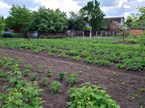 дом по адресу Сірожупанної Дивізії ул. (4-та Продольна)
