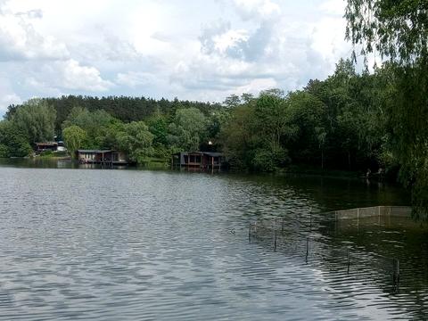 дом по адресу Прорезная ул.