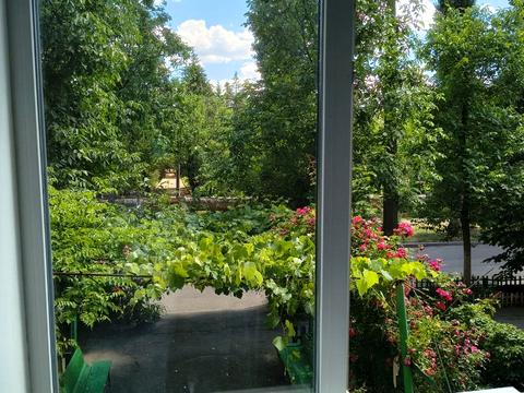 квартира за адресою Шкапенка вул., 19