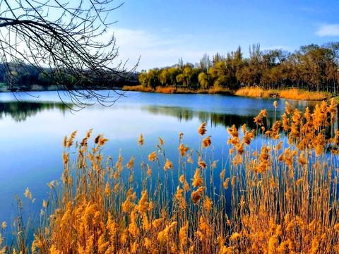 квартира за адресою Шкапенка вул., 19