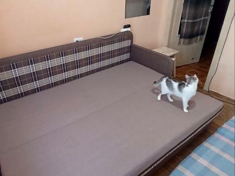 комната по адресу Стрийская ул., 101