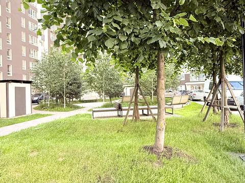 квартира по адресу Літературна ул. (Чехова), 27