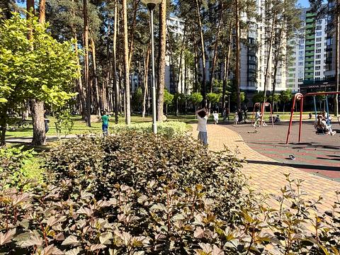 квартира по адресу Літературна ул. (Чехова), 27