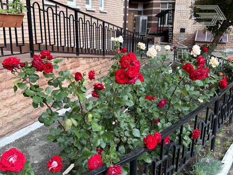 квартира за адресою Голосіївська вул., 13