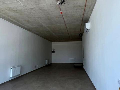 комерційна за адресою с. Пасіки-Зубрицькі, Дорожна, 58-В