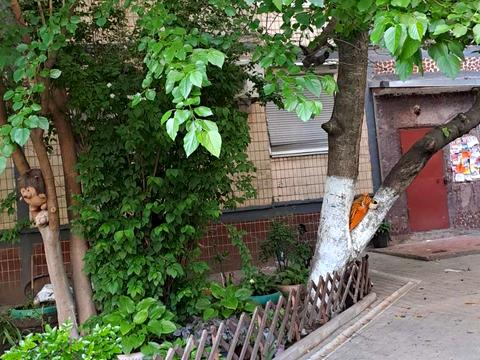 квартира по адресу Героев просп., 46
