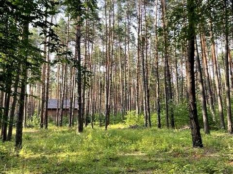 ділянка за адресою Київ, Ясна