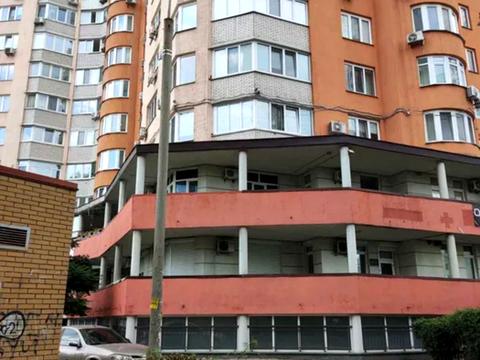 комерційна за адресою Єлизавети Чавдар вул., 2