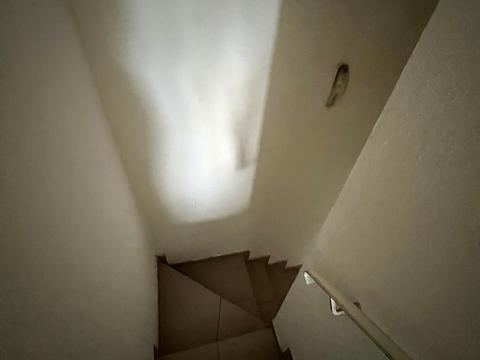 квартира по адресу Пекарская ул., 24
