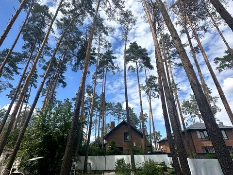 участок по адресу Українська ул., 12