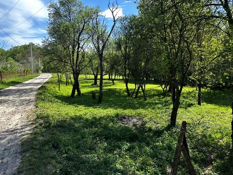 участок по адресу Вербівка, 7