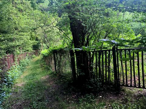 ділянка за адресою Лисеницька вул.