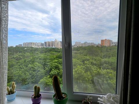 квартира по адресу Добровольцев ул. (Маршала Говорова), 11Ж