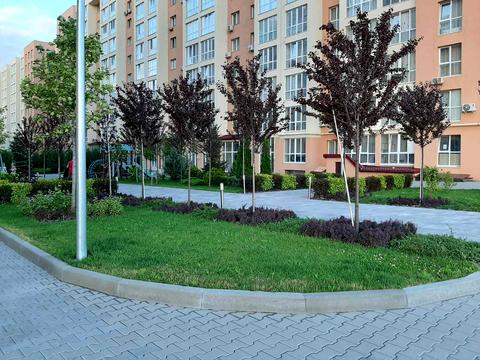 квартира за адресою Героїв Небесної Сотні просп., (просп. Небесної Сотні, 26/23)