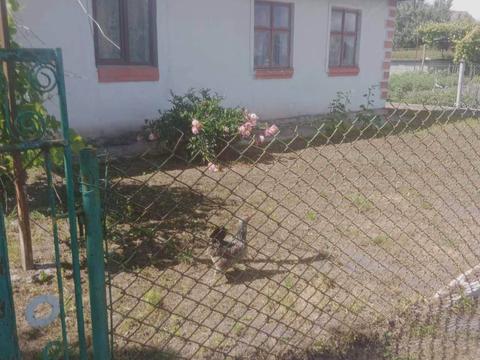 дом по адресу Зелена