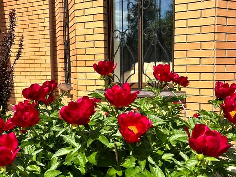 будинок за адресою Молодіжна