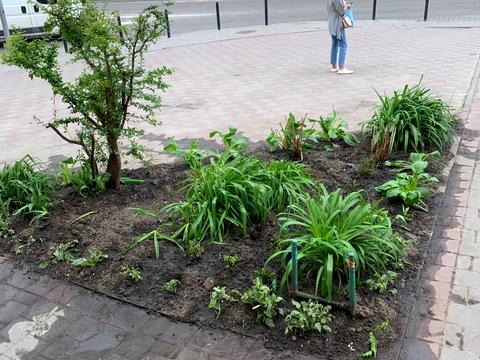 коммерческая по адресу Джерельная ул., 34