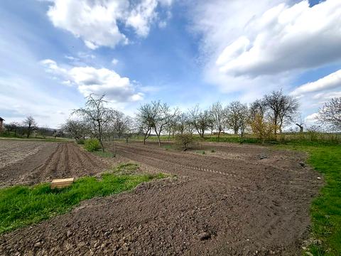 будинок за адресою с. Чорнівка, Головна